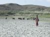 Filename=shopank_o_ramag.jpg
Filesize=1719KiB
Dimensions=2050x1537
Date added=Nov 15, 2011 shopank_o_ramag.jpg