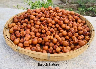 Ziziphus, Berry

پنسیں کُنر
Pensin konar
پنس کنر ءِ یک زات ءِ کہ گیشتر کوہ ءُ ڈرّان رود ایت۔ اے باز کنتگی بیت ءُ سرا سِر کپگ نہ بیت ۔ اے مدام بُنژءَ بُنژ انت ۔ اے گیشتر اکتوبر تاں جنوری بر کنت اشیے دانگ کسان انت بلے وشیں بوہ کن انت ءُ شیرکن انت ، ءُ گڈگ ہم مزن انت ۔ وھدے زمانگ ءُ مردمان پنسیں کنر چُپتگ ءُ دوگیں شیر مان کتگ انت کہ ایشانی تام باز وش بوتگ انت ، بلوچستان ءَ مرچی ہم ب
