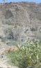 Filename=Asman__Grand.jpg
Filesize=202KiB
Dimensions=720x1196
Date added=Nov 09, 2020 Asman__Grand.jpg