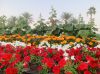 IMG_2671_MIA_park_landscape.jpg
