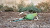 Filename=Mitto_o_Kapinjar.png
Filesize=789KiB
Dimensions=746x420
Date added=Jul 20, 2025 Mitto_o_Kapinjar.png