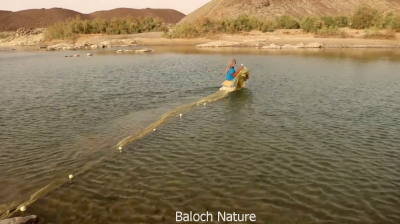 Fishing and Fisherman
Mahing o Mahigi
ماھیگ ءُ ماھیگی
ادا اے اکس ءِ چہ یک ماھیگی ءِ وتی دام ءَ آپ ء توک ء پچ ءُ تالان کنگا انت کہ کورے ماھیگاں شکار کنت ۔ 
