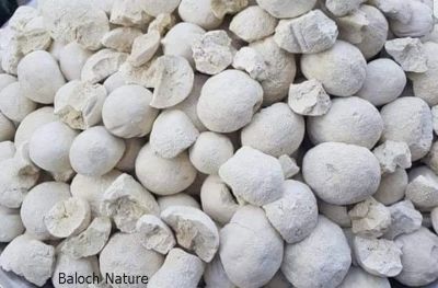 Cheese or Labneh ball
Shillanch
شیلانچ
گردیں شیلانچ ءِ جوڑ کنگ بلوچ دودانی تہا است انت کہ دوگیں شیر چہ ورگ ءَ گیش بوتگ انت ۔ گڈا اشاں دوگ لہز داتگ انت ۔ گرد گرد گولکیں جوڑ کتگ انت تاپ داتگ ان ت۔ بلے لہڑ دیگ ءِ وھد ءَ کمک واد مان کتگ انت کہ کمے سور تام بنت ۔ اے وھدے کہ ھُشک بوتگ انت پدا ایر کتگ انت ءُ ہما وھدا نارُشت دوگیں لوگ ءَ نہ بوتگ گڈا اے شیلانچ چوپتگ انت ءُ آپ مان کتگ انت گوں نان ءَ نوش ءُ جان کتگ انت ۔ بلے مرچاں انچو ورانے ۔ 
