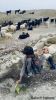 Filename=Konda.jpg
Filesize=86KiB
Dimensions=480x852
Date added=Jul 04, 2026 Konda.jpg