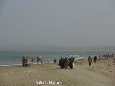 Gaddani Beach
گڈانی تیاب دپ
Gaddan Tayab dap
گڈانی موسم ءُ تیاب باز جوان انت اے اکس گڈانی تباب ء دپا کش اتگ کہ اودا تروتاب ءُ سیل کنوکیں مردمانی کمی نہ انت ۔ بلے اے شر کنت لوٹ انت تنکہ گیش چہ گیش مردم تروتاب گڈانی بیا انت ۔ 
