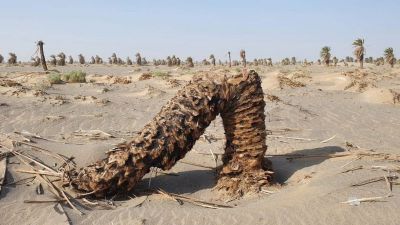 Chaghi Oasis 
Chaghi e tabahen Machkedag
چاغی ءَ تباہیں مچکِدگ
اے یک مچکدگ انت کہ ویران ءُ تباہ انت ۔ چیا کہ بلوچاں سہولت نیست کہ آپ پیداک بکن انت ءُ اے مچکدگاں سیراپ بکن انت کہ اے مچکدگ آباد بہ بنت ۔ اشانی تباہی ءُ بربادی ءُ زمہ وار بلوچستان ءِ حکومت کہ ہچ وڑیں کمک بلوچستان ءِ کشاورزاں نہ دنت ۔ ہمے سوب انت کہ بلوچستان روچ پہ روچ دیم پہ زوال روان انت ۔ 
