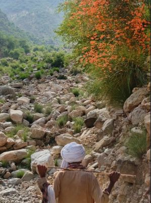 Koh e sulaiman
Koh e sulaiman
کوہ ءِ سلیمان بلوچستان ءِ ہما جاہ انت کہ ادا مدام گرماگی ہور گوار انت ۔ مدام سر سبز انت ۔  ادا یک شوانگے گندے کے کوہ سلیمان وتی پسانی پاسبان انت ۔


