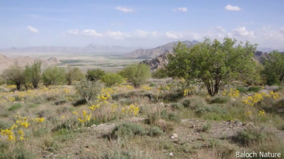 Balochistan  Landscape
Nadarag
ندارگ
اے بلوچستان  ءِ یک ڈولداریں ندارگ ء بلوچستان اے وڑیں بگندے انگتہ شرتریں ندارگ است بلے اے چماھاں چے یکے ۔ 
