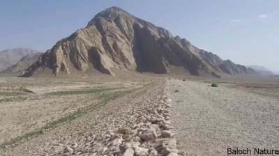 A unknown Dam of Balochistan
Dam
بند گاہ
اے بند کوہ ءِ دامن ءَ بنندگ بوتگ اشیے ندارگ باز وش انت بلے بے آپی  ءَ بندے ندارگ ہم بے تام انت ۔ اے وڑیں بندانی بندگ ءَ بلوچستان لیڈر ہمے زان انت کہ ما وتی راج ءِ ھدمت کنیں بلے اے یک وڑیں  بلوچ راج ء رپپینگ ھساب انت ۔ ڈیم یا بندگاہاں ہماا جاہا جوڑ کن انت کہ اودا آپ باز بہ بیت ءُ آپ تاں دیراں ھلاس مہ بیت۔ 
Keywords: unknown dam