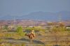Filename=Balochistan_Landscaps.jpg
Filesize=354KiB
Dimensions=2048x1366
Date added=Oct 28, 2025 Balochistan_Landscaps.jpg