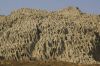 Filename=Hangol_Balochistan.jpg
Filesize=112KiB
Dimensions=736x492
Date added=Aug 26, 2022 Hangol_Balochistan.jpg