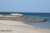Filename=Hapt_Talaar_IMG_4842.JPG
Filesize=165KiB
Dimensions=1500x1000
Date added=Sep 16, 2024 Hapt_Talaar_IMG_4842.JPG