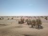 Filename=WASHUK_KHARAN.jpg
Filesize=146KiB
Dimensions=1024x768
Date added=Feb 22, 2021 WASHUK_KHARAN.jpg