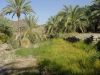 panjgur_nadarag.jpg
