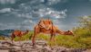 Filename=Aftab_Amjid.jpg
Filesize=607KiB
Dimensions=1945x1144
Date added=Apr 26, 2025 Aftab_Amjid.jpg