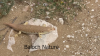 Filename=Sandfish.png
Filesize=1528KiB
Dimensions=1067x600
Date added=Aug 02, 2024 Sandfish.png