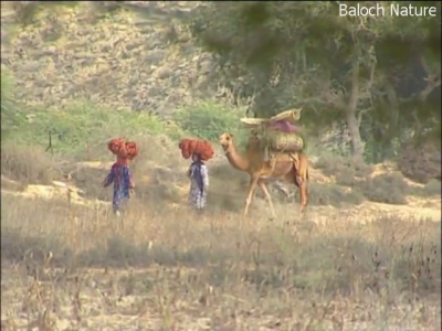 Baloch women in Balochistan
Balochani Zind
اے بلوچ جنینانی زند انت کہ وتی کہ وتی کاراں وت گلائیش انت ۔ ادا ہشتر بار انت وت ہم بار انت ۔ 
