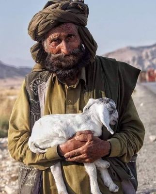 Baloch shepherd
شوانگ اُو شپانک
اے پیرمرد یک شوانگے کہ رمگ چاریں ایت 
Keywords: Baloch shepherd