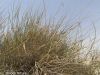 Filename=IMG-83675B7745D.jpg
Filesize=441KiB
Dimensions=1333x1000
Date added=Jun 29, 2022 IMG-83675B7745D.jpg