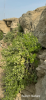 Filename=IMG_8686~0.PNG
Filesize=1524KiB
Dimensions=550x1191
Date added=Jul 13, 2024 IMG_8686~0.PNG
