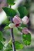 Filename=Sroop.jpg
Filesize=85KiB
Dimensions=537x800
Date added=May 06, 2020 Sroop.jpg