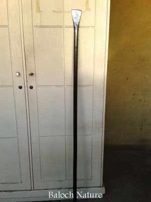 Baloch classical tool
میتین یا مُبنگ
Maitin ya Mobang
میتین چہ آسن ءَ جوڑ کتگیں یک بلوچی اوزار ءِ ۔ پنجگ ءِ پُرّیں دراجیں آسن ءِ کد ءِ پنج تا شش فٹ ءُ دراج انت ۔ اشیے یک نیمگ ءِ سرا پتن کن انت ءُ دومی نیمگ ءَ تُسک کن انت بلے باز جاہ ءَ دویں سرا پتن ءُ تیز کن انت ۔ اشیے گیشتر مچ ءِ درکنگ ءُ یک جاہ چہ دومی جاہ کشگ کار مرز کن انت ۔ اے مچ ءِ کنٹ ءَ تل کنگ ءَ ہم کارمرز کن انت ۔ چاہ ءُ ترون ءِ جنگ ء کارمرز کن انت ۔ 
