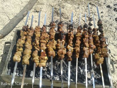 Bar B Que
باربیکیو
Barbique
باربیکیو چونیا ڈنی لبز ءِ کہ کارمرز بیت ۔ بلے بلوچستان ءَ انگتہ اشیا کباب ءُ تکّہ گوش انت ۔ اشیے جوڑ کنگ ءَ گوشت درکار بیت ۔ 
