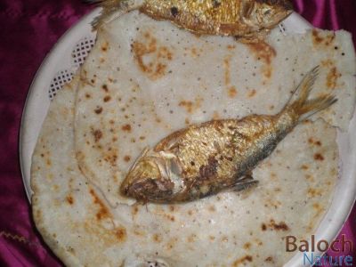 fried Fish with Brown Bread
Kolgar o Dotalwin Nan
کولگر دوتلویں نان 

بندرے مردم اشارا شکار کنت او اشارا کولگر گوشیشنت 
بلے چہ بندرا دور کولگرا چہ گیشتر لُجّر گُوشنت - بلے کولگر بہ بیت کہ لُجّر بلے دوتلویں یا روگنی نانے گونا باز وش انت,
