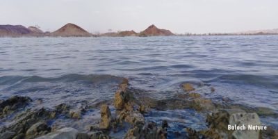 Balochistan landscape
بلوچستان ندارگ
Balochistan nadarag
