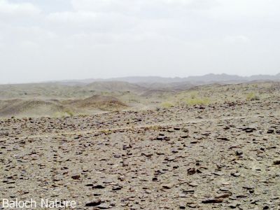 A landscape of Zamoran Balochistan 
بلوچستان ء نداراگ
Balochistan e Nadarag
بلوچستان ء ہور ء نہ بوگ ء سوب ء چہ درچک ءُدار ء نہ بوگ ہور پہکا بیگواہ انت ۔ چمیشکا بلوچستان کوہ انچو سما بیت کہ سُستگ ءُ  مان داشتگ انت ۔ 
