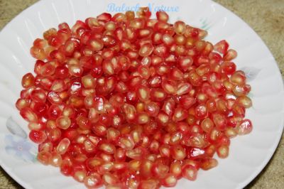 Sorted Pomegranate
اناری دانگ
Anaari danag
انار ءِ اسل چہ کوہ ءِ کاپ ءِ ہند ءُ دمگ انت، بلے مرچی باندا تانسریں دُگنیا انارءِ کشت ءُ کشار است انت ، پنچ چہ ہشت میٹر ءِ کساس ءِ درچک انت ۔ سُہرین ڈولداریں پُل پر کنت ، انار ء بر ءِ توکا دو سد تا چاردہ سد آپلوکیں سپید، جمو ءُ سُہر گونگیں دانگ مان بیت کہ شرکن انت ۔ بلوچستان ءَ ہم بالادی ہند ءُ دمگاں انار ءِ کشت ءُ کشار کن انت 

