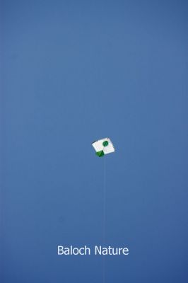 Kite
باد پادگ
Bad padag
بادپادگ یا کانگڈو اے بلوچانی اڈ کتگیں چیزے نہ انت۔ بلے کراچی ءُ مرچی باندا بلوچستان ءِ ایدگہ ھند و دمگاں کارمرز کنگ بیت۔ اے کانزگ ءَ تل کن انت ءُ بارگ ءِ کن انت اشیے سرا کاگدے لیچین انت ءُ بندکے بند انت ءُِ گوات ءِ کمک ءِ بال ءِ دینت ۔ 
