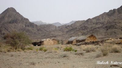 A view of Balgatar
بالگتر ءِ ندارگ
Balgatar e nadarag
بلوچستان ءَ چونایا سُرمگیں کوہ باز انت ، بلے اگاں تئی میتگ ہمے کوہانی لمب ءَ بہ بیت گڈا باز ڈولدار بیت ۔ اے وڑیں میتگ بلوچستان ءَ ھزارانی ھساب ءَ است ۔


