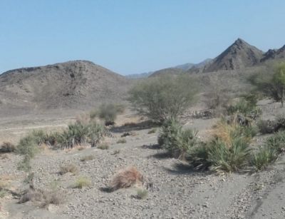 Landscape of Balochistan
بلوچستان ءِ ندارگ
Balochistan e Nadarag
بلوچستان ء ندارگ باز ڈولدار انت ۔ بلے اکس کشوک بہ بیت۔   مرچاں ہمک مردم وتا یک اکس کشوک کنت بلے اے وڑ نہ انت ۔ 
