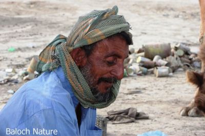 Life of Baloch
بلوچ ءِ زند
Baloch e zend
بلوچ ءِ زند گیشتر ماں مال چارینی ءَ گوستگ ، بلے مرچی ہم اے بلوچ ساربانی کنت وتی لوگ ءِ ھرچ ءَ درکنت۔ آ روچ پہ بلوچ ءَ کدی کیت کہ آسودگیں رزق ءِ دست بہ دنت ۔ 

