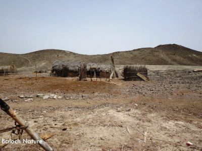 Baloch Hut on mount 
بلوچ میتگ ماں کوہ ءِ لمب ءَ
Baloch metag man koh e lamba
اے اکس ءَ چہ مالوم بیت کہ بلوچ میتگ چنچوک پدمنتگ انت ، پس ءُ گوکانی بنجاہ لوگ ءِ پیژگاہ ءَ انت۔ البت کوہ لمب ءَ چہ اے جاگہ باز ڈولدار انت ۔
