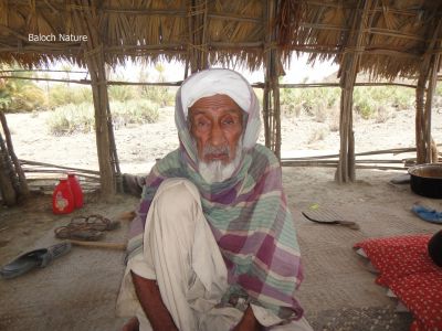A Baloch Oldy
Baloch Droshom
بلوچ دورشُم
اے کماش کہ کاپرے چیرا نشتگ سواس او داس ء کشا ایر انت کہ مالوم بیت چہ وتی زمینانی سرا کارے کتگ او واتر بوتگ، اے اکسے توکا پدی نیمگا داز زاہر انت چریشیا پدّر بیت کہ اے واجہ کوہستگے مردم انت - بلوچستان کوہ نیشینیں مردم او لوگ او جاگہ باز انت -۔
