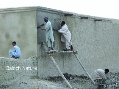 Muddy House maintenance
Ban e donag
بانے دونگ
بان بلوچستان ء موسُم ء گو ہم تب انت - پرچا کہ بان زمستان گرم او گرماگ ء سرد بنت - بلے آدگہ لوگ زمستان ء سرد او گرماگ ء گرم بنت - بان کہ چہ لچ او پُگ آ تیار بیت بلے گیشیں ھور ارّگ بہ بنت گڈا سے چہ پنچ سالانی درگتا دون لوٹ انت - اے اکس ء توکا بان دونگا انت -۔

