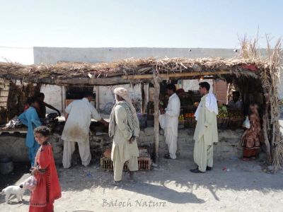 Balochistan village market
بلوچی نیادی
Balochi neyadi
ناصرآباد کیچ  ءِ نامداریں یک میتگ ءِ ءُ اشیے بازار یا نیادی دگ ءِ چپ ءُ  راست ءَ انت ،  ادا مدامی ترا یکیں کاپرے چیرا ماھیگ گوشت سبزی ءُ میوہ دست کپیت ۔ پہ سودائی ءَ ناصرآباد ءَ نودز چربک للین ھیرآباد ھوت آباد ءُِ کش ءُ گورے مردم ہمک سہب بیگاہ ناصر آباد ءَ بہ سودائی کاہنت ۔ چمیشکا ناصرآباد ءِ نیادی رش انت ءُ ترا زندگی ءِ ہمک تک ءِ زلوریات دست کپ انت ۔
