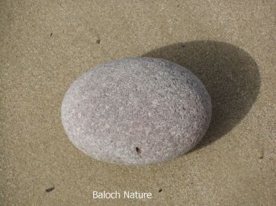 Stone 
ساپین سنگ
Sapin sing
 سنگ جہان ءَ باز انت بلے بلوچستان ءِ سنگانی وتی جتائیں ساپی ءُ رنگ ءُ دروشم است انت ۔ مرچاں اے سنگانی لوٹ باز بوتگ پرچا کہ جہان ءَ ڈیکوریٹ کنگ ءِ واستہ اے سنگانی لوٹ باز انت 
