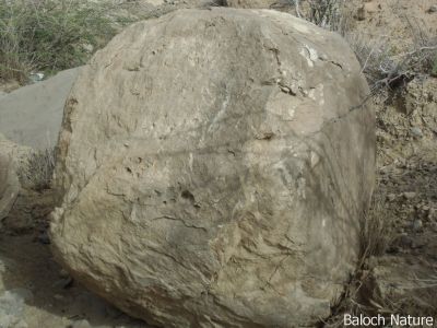 Rock
ڈوک
Dok

