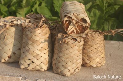 Date classic packing 
گرکو
Garko
گرکوے ناہ باز تامدار انت ءُ پہ ورگ ء دل ء نہ سوچ ات ۔ چیا کہ گرکوے ناہ ء یکبرے گوں آرت ء پُنڈ انت پدا کُنچیت مان کن انت ۔ وھدے زرد ترات نوں مچی گرک ء پیش ء گوپتگیں پُرو ء مان کن انت ۔ گرکوے ناہ باز ترند انت ۔ ازباب ء سرا بُرر انت ء نوش جان کن انت ۔ 

