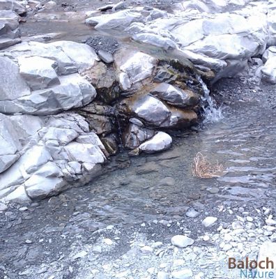 Gazzin's spring water
گزّن تچوُکیں آپ
گزّن یک کُوہ کورے کہ ھیرآباد کیچ  گوریچانی نیمگ ء انت - اگاں اے ھند ء دہ سالاں ھُور مہ بیت بلے گزّنے تچوکیں آپ کم نہ بیت - بلوچستانے کوہاں چُوشیں چمّگ باز انت - کہ مدامی شرکنیں آپ تالاں کن انت

