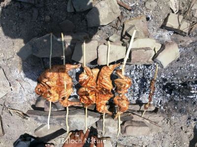Chicken Bar B Q
بریتکگیں مُرگ
Britkagen Morg

