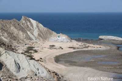 Astola Island view
ہپت تلارے زیارت
Hapt talar e zeyarat
