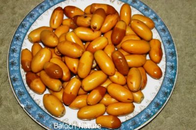 Date fruits 
مسری یا جدگالی
Misri ya Jadgali
مسری ءِ کلونٹ  باز تامداریں  کلونٹ انت ۔ مرچاں کیچ ءُ مندے ھند ءُ دمگاں گیشتر باگاں مسری کش انت ، بلے باز جاہ ءَ اشیا زردیں شکر ہم گوش انت ۔
