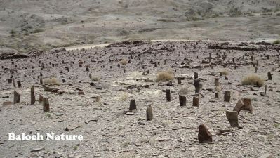 A Baloch old graveyard 
دشتک ءِ کبرستان 
Dashtok e Kabristan 
اے کبرستان بلوچستان ءَ دشتوک زعمران انت۔ اے قبراں اگاں مردم بچاریت ہمے سرپد بیت کہ بلوچ ادے کوھنیں بود ءُ باش کنوکیں راج انت۔ اے کبر گوں زمین ءَ برابر انت۔ کبرانی سرا بلوچ باز ھاک ءُ ڈل ءپ ڈوک پر کن انت، بلے ادا درُست گار ءُ بیگواہ انت، چریشیا مردم سرپد بیت کہ بلوچستان بلوچ راج ھزاراں سال بلوچستان ءَ راج کتگ ۔ 
