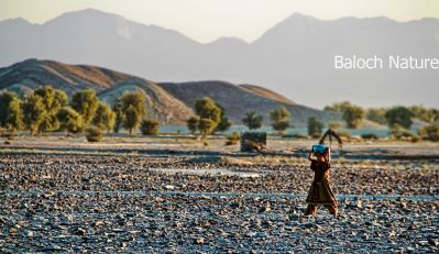 A view of Kapkapaar Border with W. Balochistan
Kapkapaar, Negwar Nadarag
کپکپار، نگورے ندارگ
اے ندارک واجہ جان البلوشی ء زپت کتگ، اے اکس پنچ او شش رنگے توکا ٹہینتگ اول سرا ڈلپادین جاہ آسماںی رنگے داتگ، درچکانی ھندا دگہ رنگے، جُمپانی دگہ رنگے، ماتبندے دگہ رنگے، ہمے وڈا آزمان ء رنگ ہ٘ دگہ رنگے - اے وڑیں اکساں ایوکا اکسانی اکسپرٹ بزاں زانکار کش ات کن انت -۔

