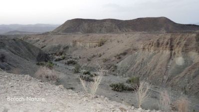 A Kolbar view 
کلبر ءِ کوہ کوْر
Kolbar e kohkoar
اے کلبر ءِ یک کورے کہ ہمشیے توک ءَ گاڑیاں وتی کشک کُتگ ، بلے کلبر ءَ اے وڑیں بے ھساب ءَ کور است ،کمک کورے وتی دروشم ءُ ندارگ است ۔ 
