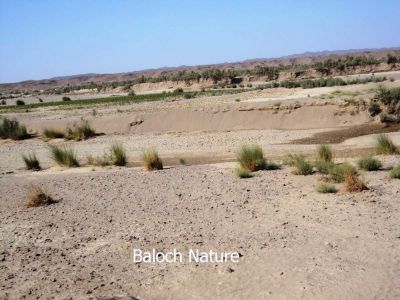 Rain Cultivation land
کوری کشاری زمیں
Kori Kishari zamin

وھدے کہ بلوچستان ء گرماگی ہور بہ بنت گڈا بلوچستان باز جاھاں سُہرو، ماش، پرماش، گُہاروک، کُٹّگ دھل کش، تیجگ، ء انت - اے اکس ءِ توک ءَ چہ دور ءَ کشار گندگ بنت۔ 
